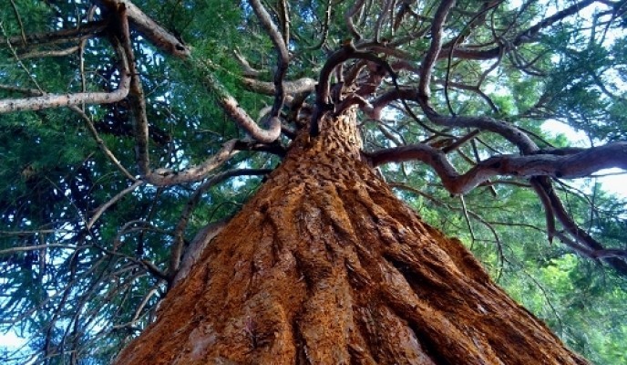 big_pexels-photo-399969