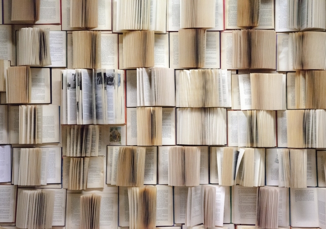  Książka Historyczna Roku