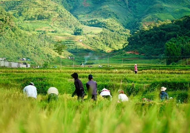 warsztat opalowy i litofony z Gia Lai