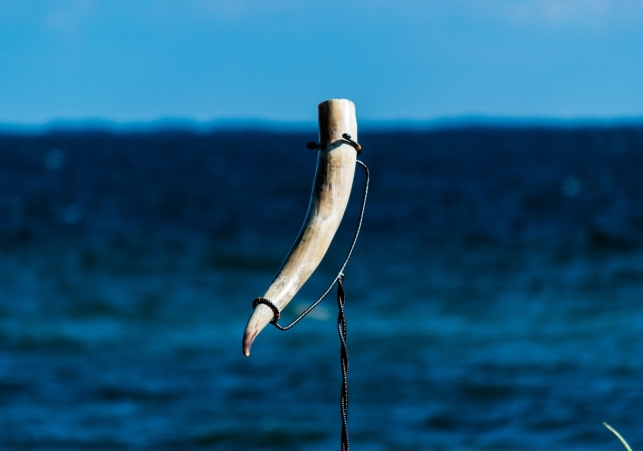 wikinski pochówek statku