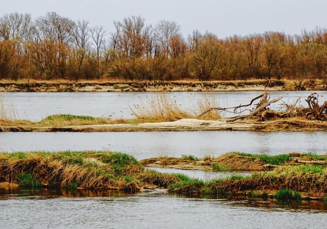 rzeka wisła