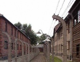 auschwitz