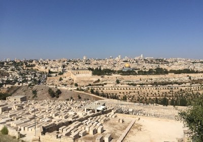 srebrny ćwieć szekla